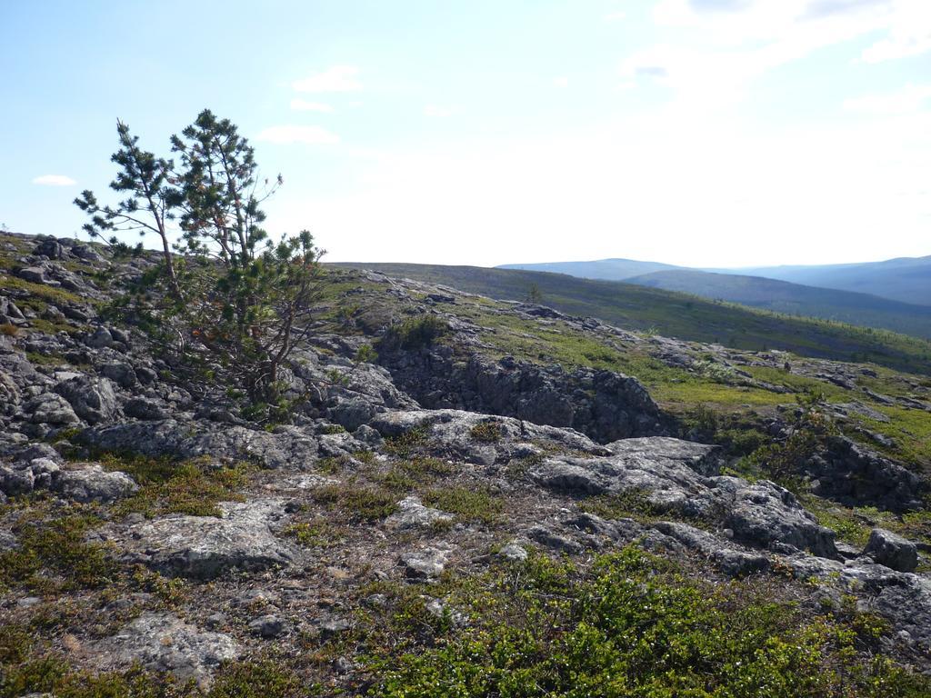 Lemmenjoen Lumo - Nature Experience & Accommodation Lemmenjoki Екстериор снимка