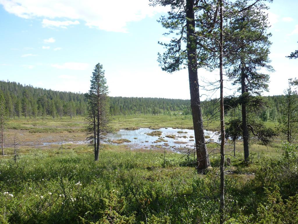Lemmenjoen Lumo - Nature Experience & Accommodation Lemmenjoki Екстериор снимка