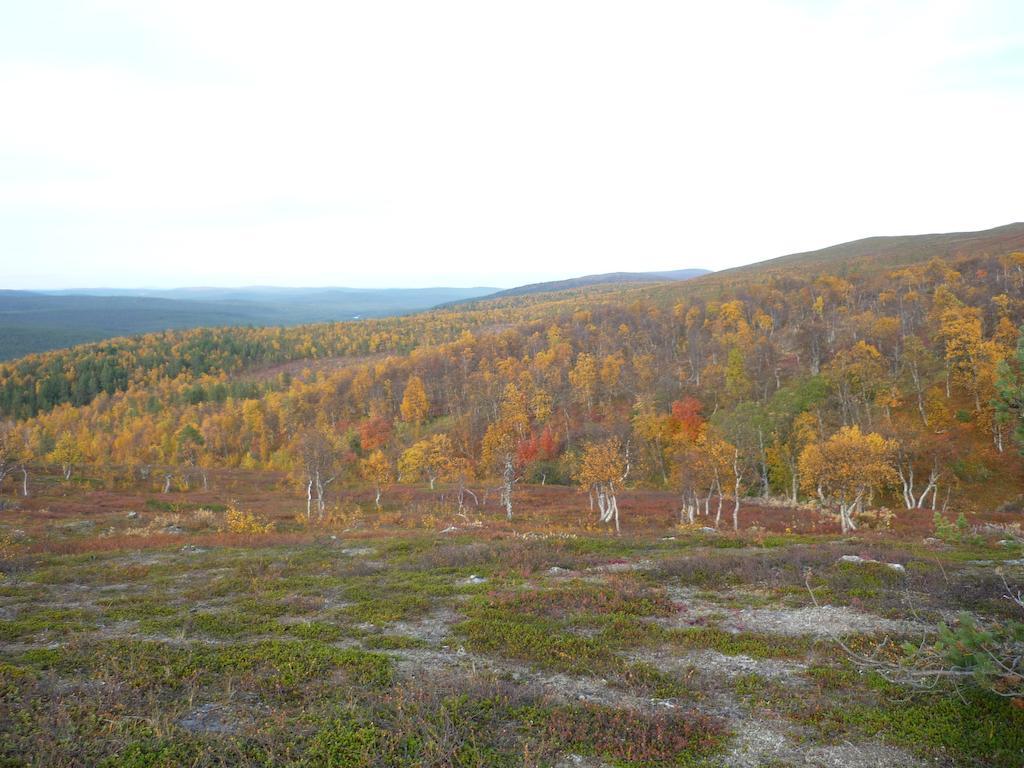 Lemmenjoen Lumo - Nature Experience & Accommodation Lemmenjoki Екстериор снимка